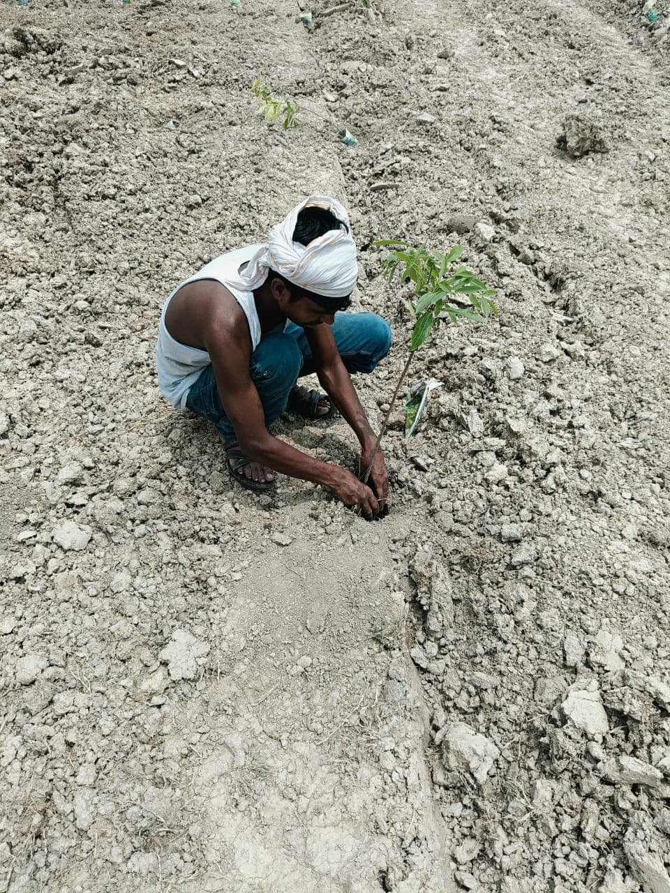 Baba Shakti field 10