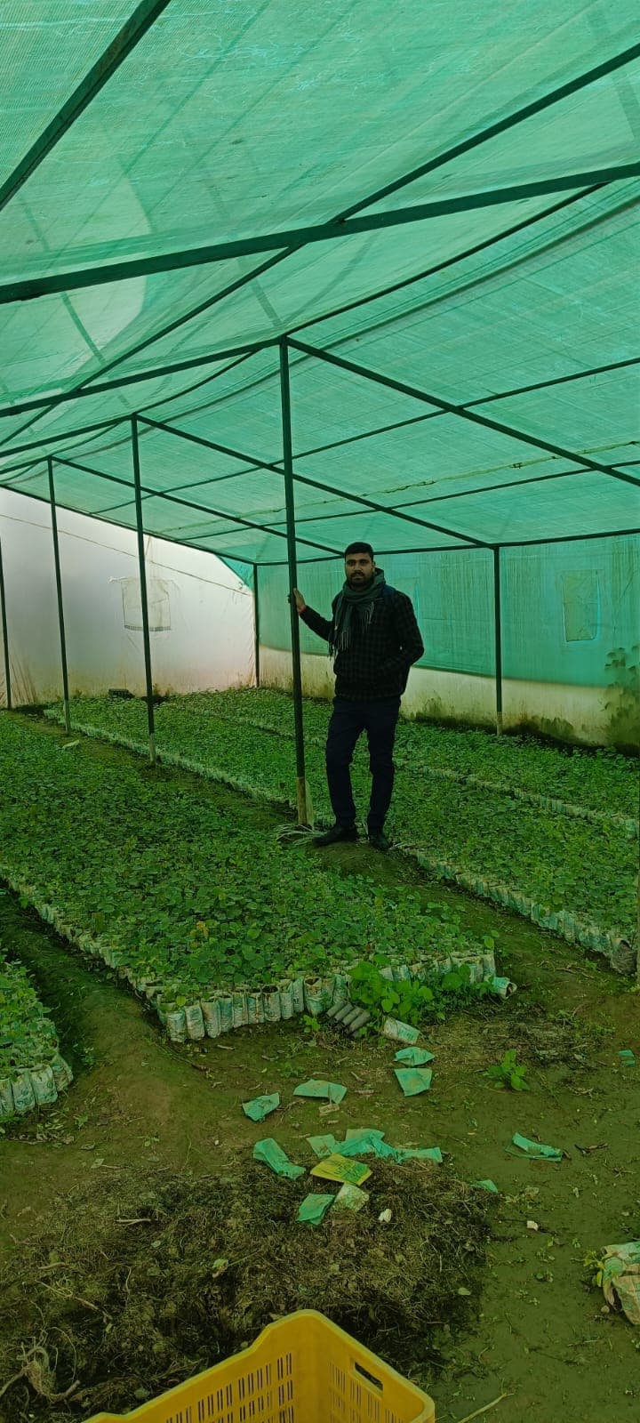 Farmer plantation gallery