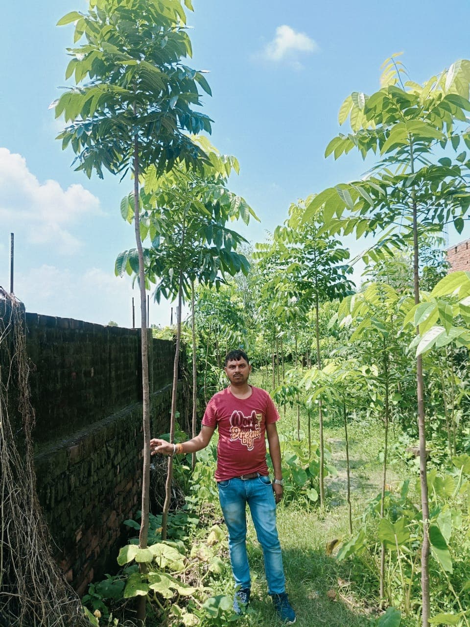 Baba Shakti field 13