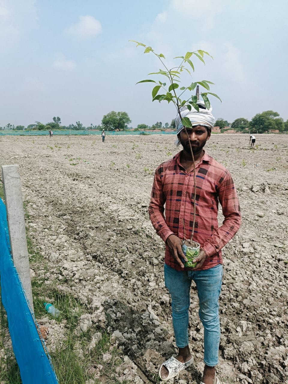 Baba Shakti field 14