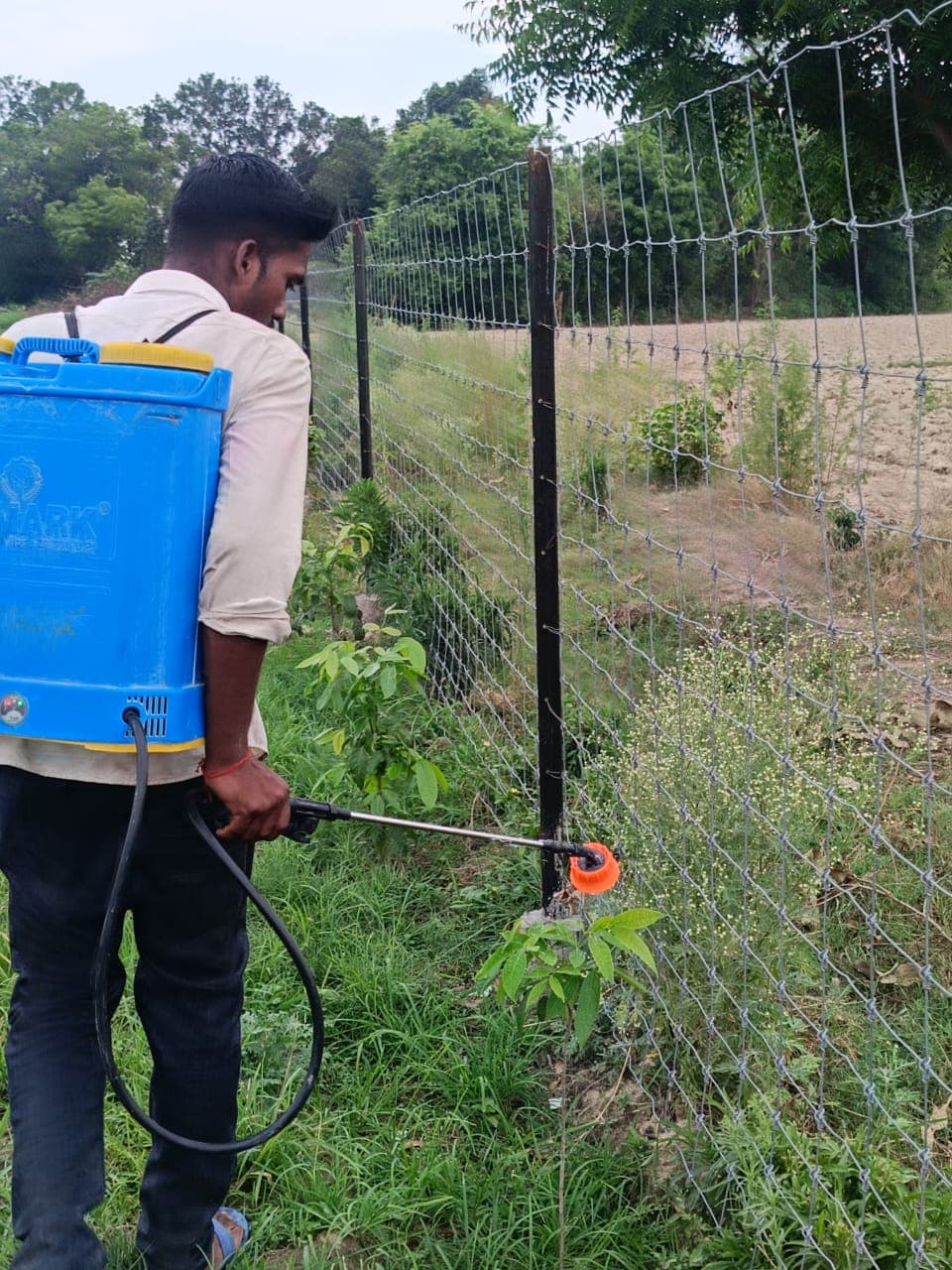 Baba Shakti field 16