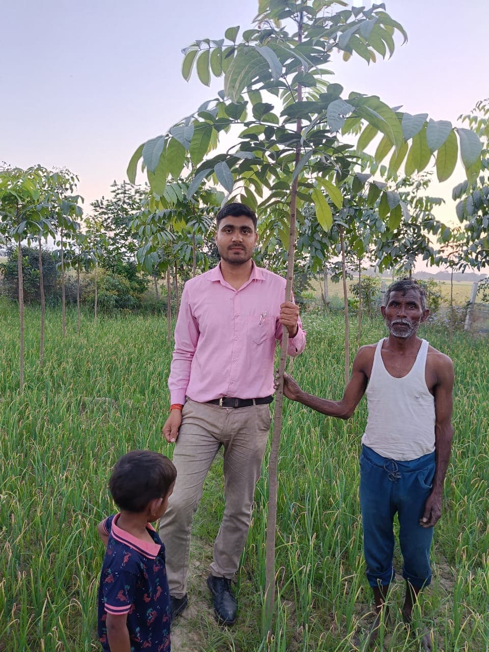 Farmer plantation gallery